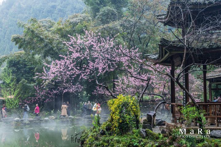 房玄龄的儿子房遗爱，妻子高阳公主与和尚有染，他在旁边帮忙把风